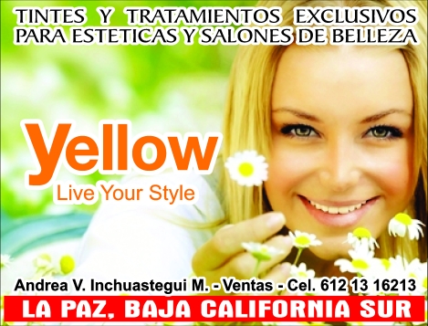 yellow tintes y tratamientos para esteticas 013
